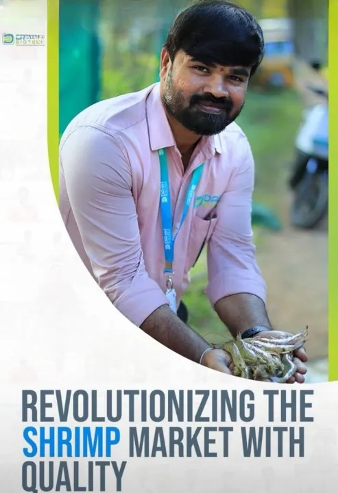 Shrimp farming aquaculture success in pond