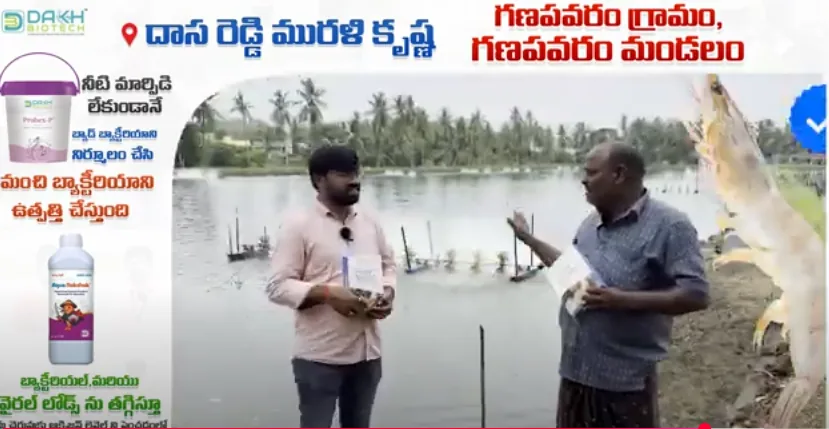 D-Minplus product demonstration video thumbnail